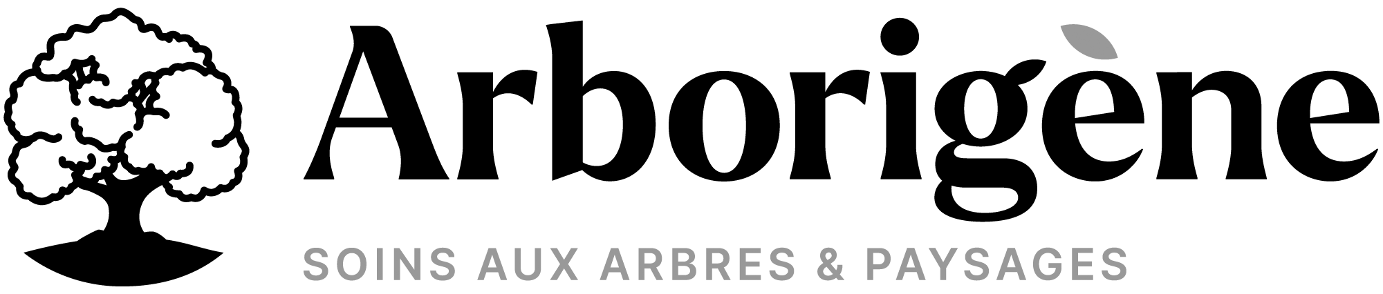 Logo sponsor